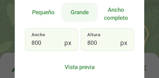 Elige el tamaño de tu mapa. Puedes ver cómo queda pulsando Vista previa.