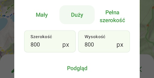 Wybierz rozmiar mapy. Możesz zobaczyć podgląd, klikając Podgląd.